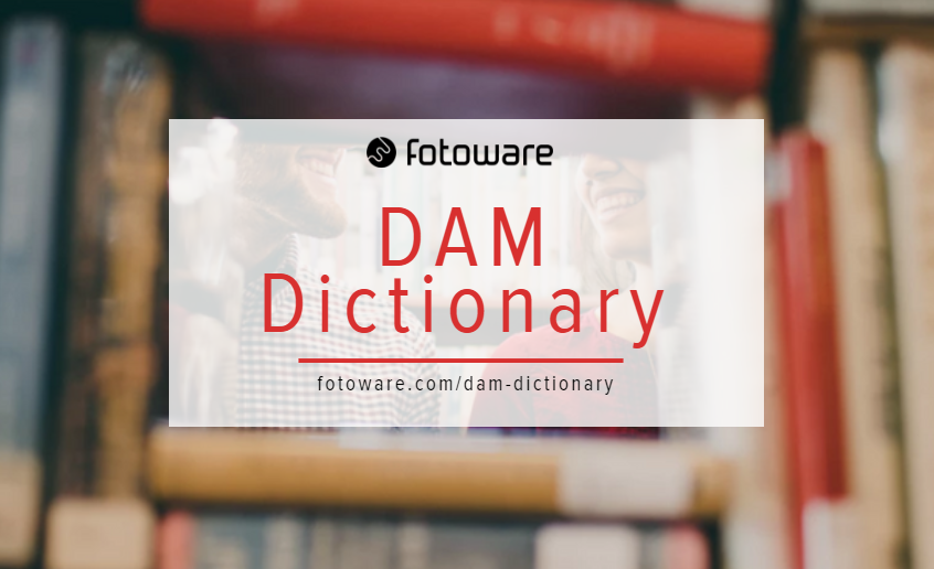 dam-dictionary